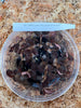 FLASK  Cystorchis javanica  JEWEL