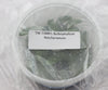 FLASK  Bulbophyllum fletcherianum