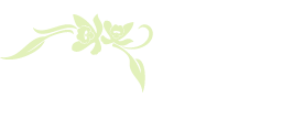 Louisiana Orchid Connection