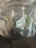 Flask Phal. thailandica