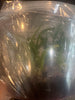 FLASK Calanthe triplicata