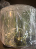 FLASK Warczewiczella marginata