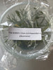 FLASK Ctsm. (cirrhaeoides x albovirens)