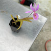 Barkeria uniflora x Bardendrum Kitty