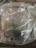 Flask Aerangis (spiculata x modesta)