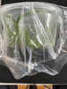 Flask Brassavola subulifolia