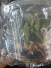 FLASK Paphiopedilum appletonianum