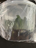 FLASK Aerangis (fastuosa x biloba)