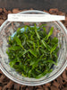 FLASK Angraecum corrugatum