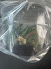 FLASK Ascocentrum ampullaceum