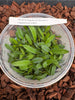 Flask Angraecum ( bosseri x magdalenae)