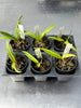 Ionopsis utricularioides 6 Pack