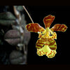 FLASK Oncidium limminghei