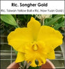 Rlc. Songher Gold [2062]
