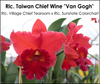 Rlc. Taiwan Chief Wine 'Van Gogh' [2152]