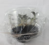 FLASK Dossisia Dominyl Judy -- Jewel Orchid