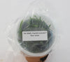 FLASK  Psychilis truncata f flava 'Jeimy'
