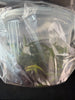 FLASK Angraecum (sesquipedale x magdalenae)