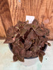 COMPOT Anoectochilus roxburghii JEWEL ORCHID