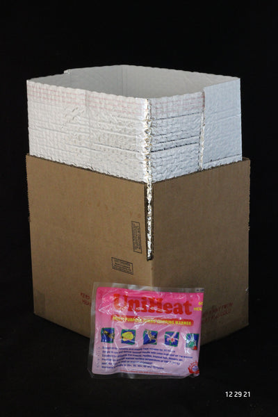 Insulated container with heat pack