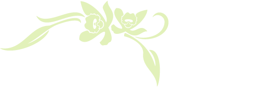 Louisiana Orchid Connection logo